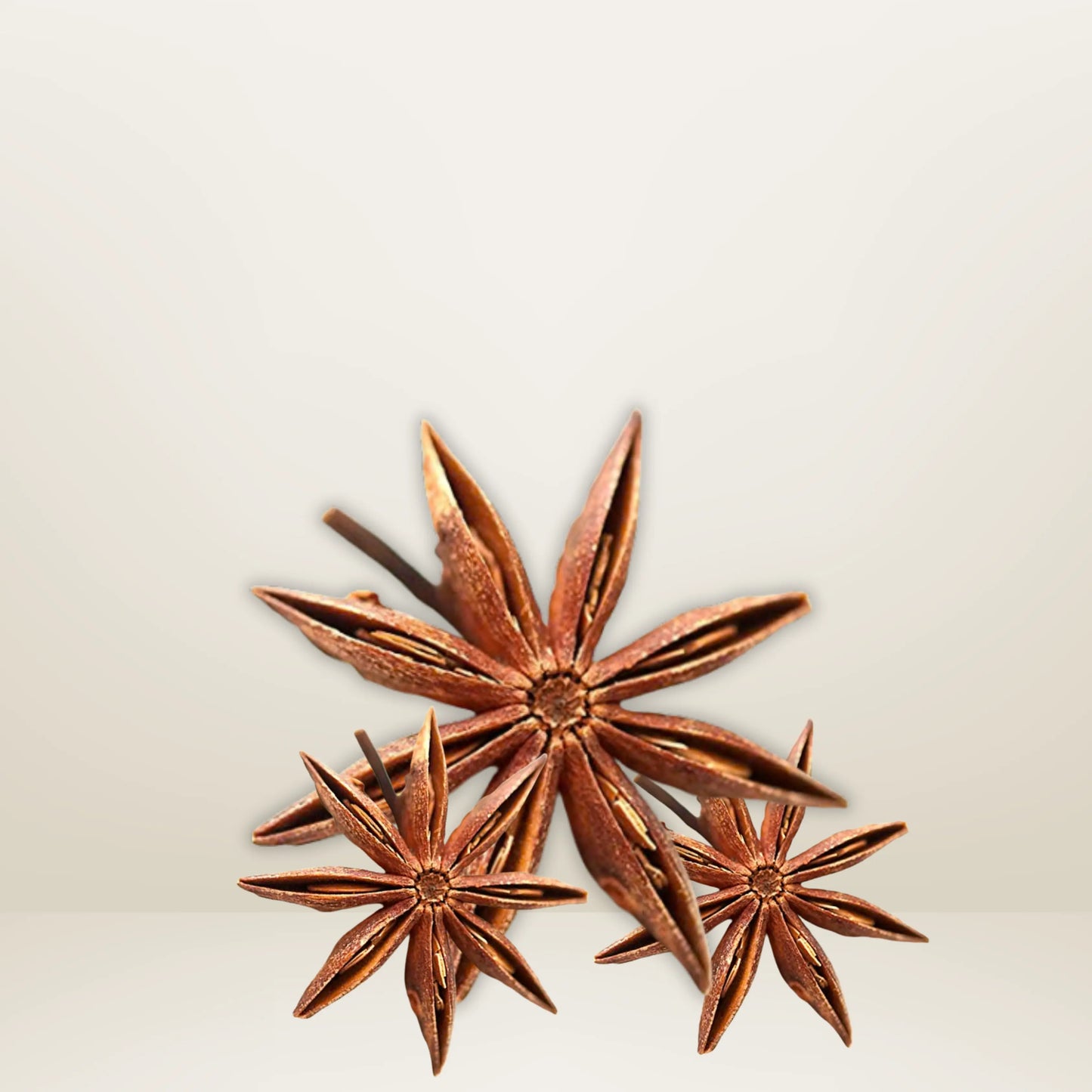 Anise Stars, Spices 100g