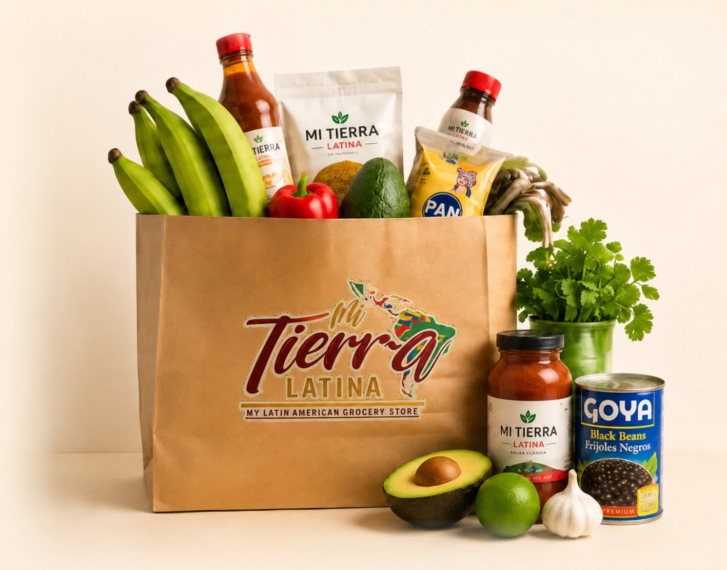Mi Tierra Latina branded grocery bag — franchise opportunity